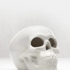 AFT1 SKULL INCENSE BURNER Accessories